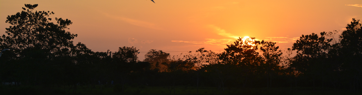Vuelos a ARAUCA
