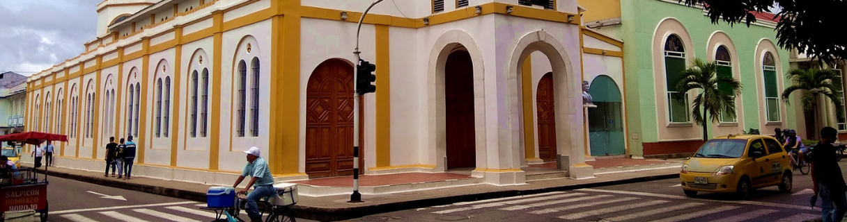 Vuelos a ARAUCA