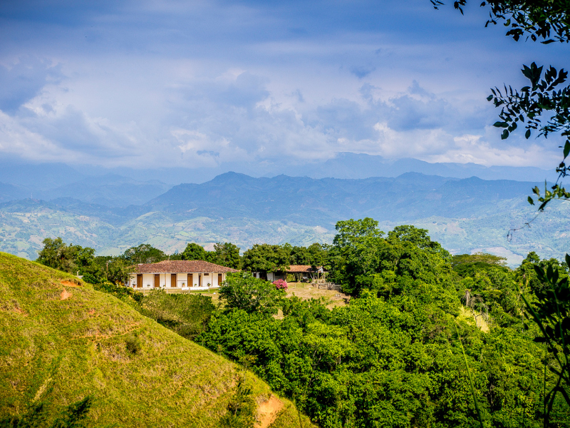 Pereira